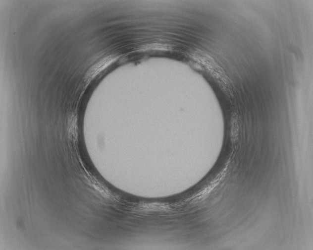 X0000115341113200911301542