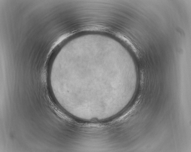 X0000115341114200911301542