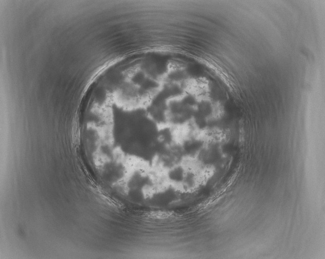 X0000115341117200911301542