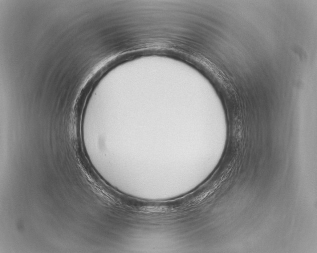 X0000115341118200911301542