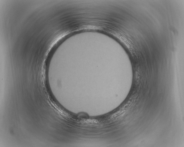 X0000115341119200911301542