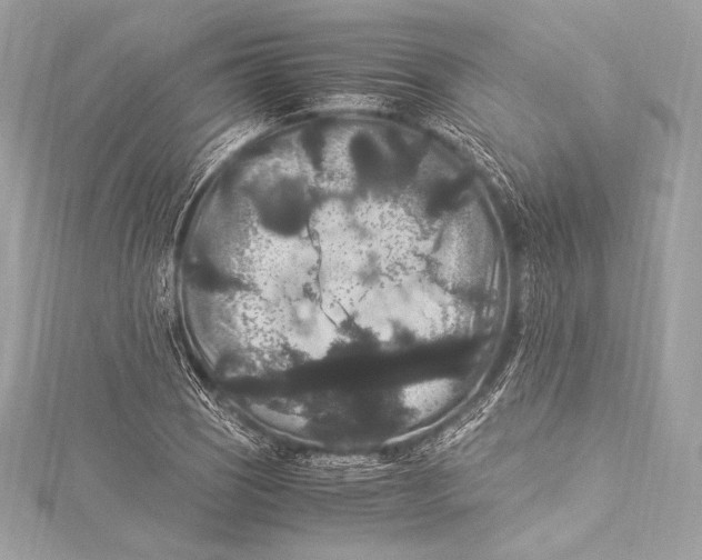 X0000115341121200911301542