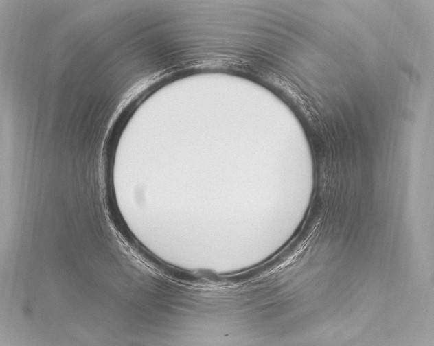 X0000115341122200911301542