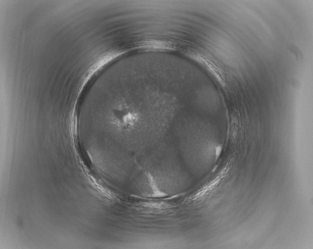 X0000115341125200911301542