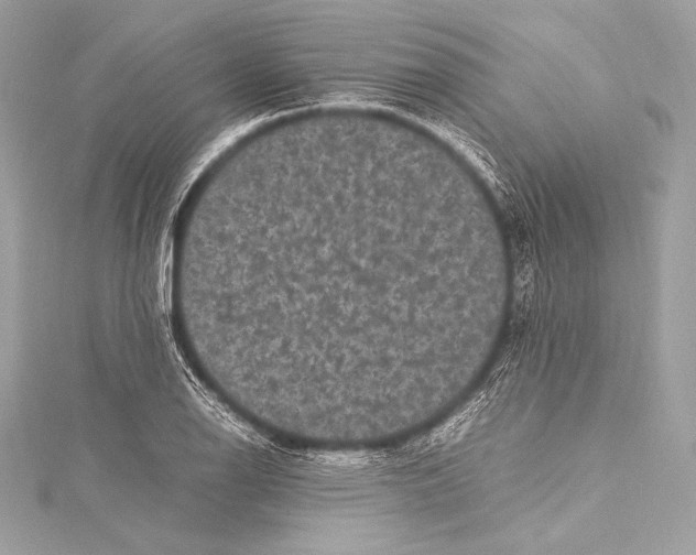 X0000115341126200911301542