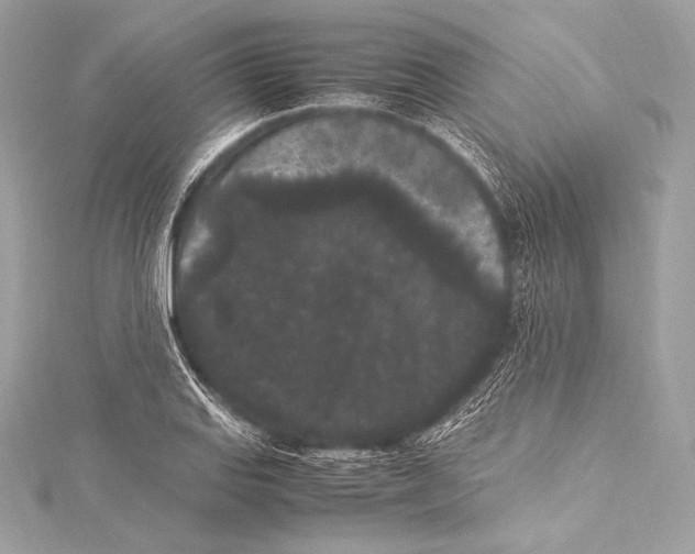 X0000115341127200911301542