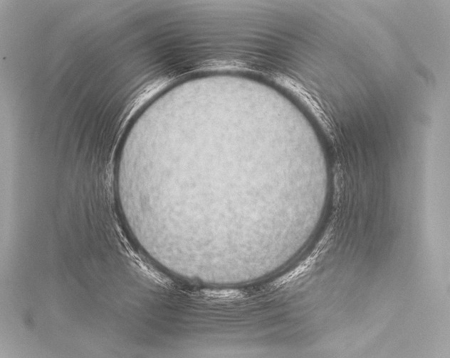 X0000115341129200911301542