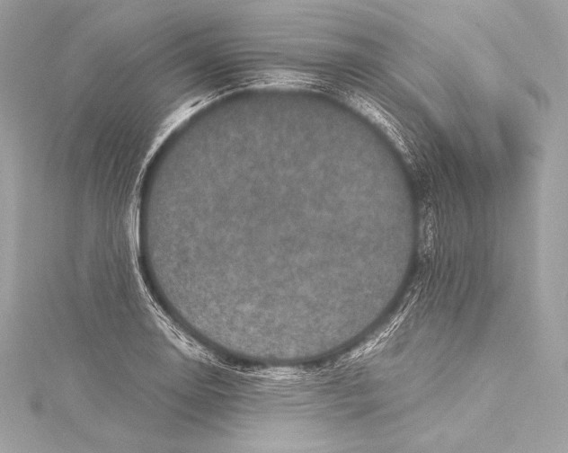 X0000115341130200911301542