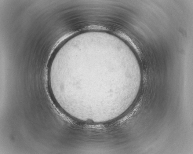 X0000115341133200911301542