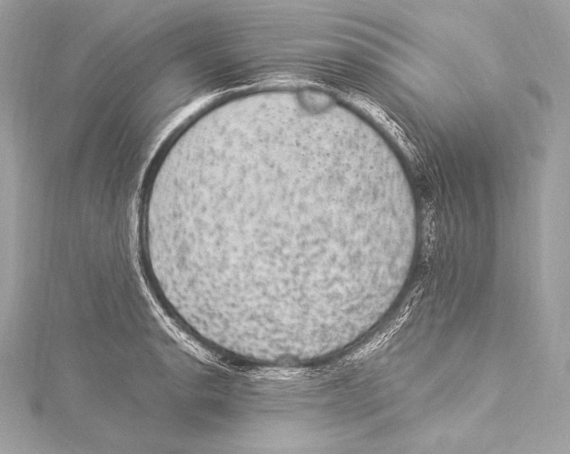 X0000115341134200911301542