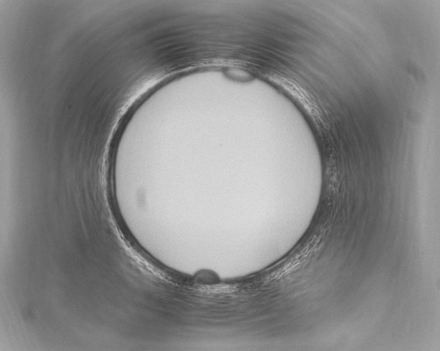 X0000115341135200911301542