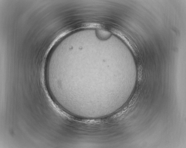 X0000115341139200911301542