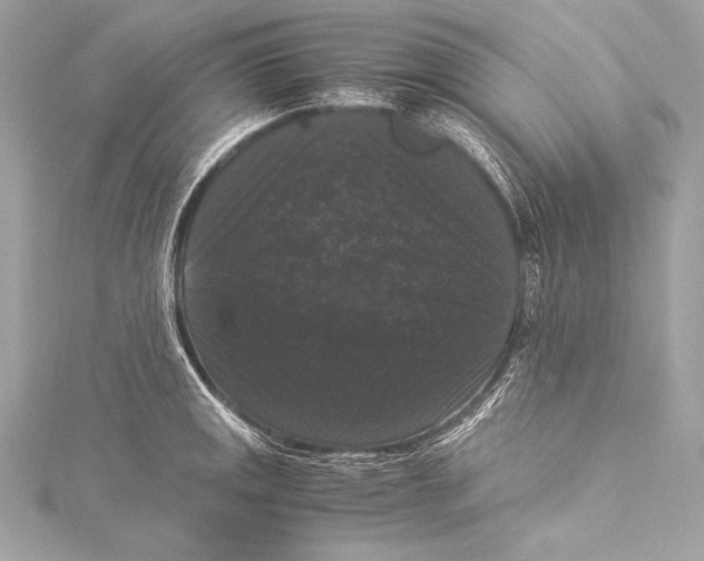 X0000115341141200911301542