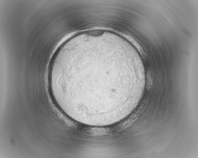 X0000115341142200911301542