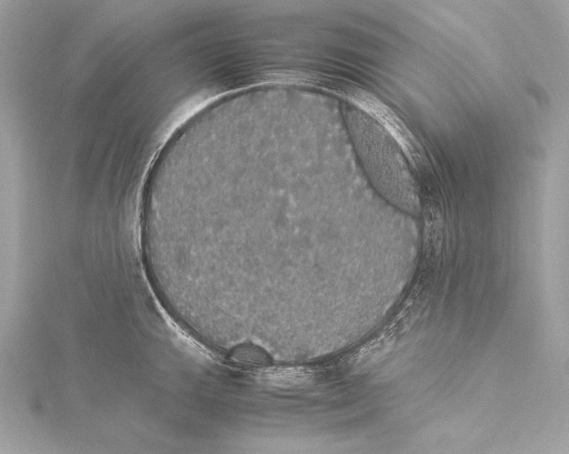 X0000115341143200911301542