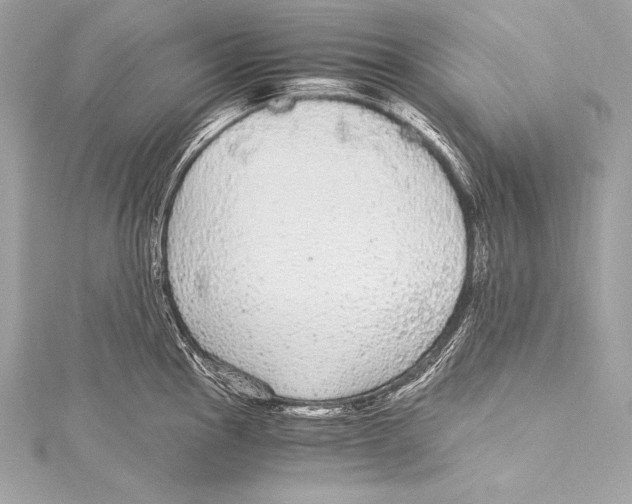 X0000115341145200911301543