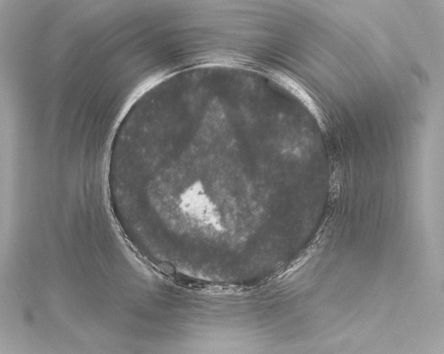 X0000115341146200911301543