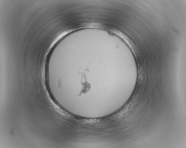 X0000115341147200911301543