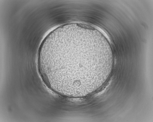 X0000115341149200911301543