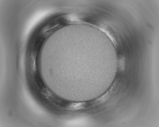 X0000115341150200911301543