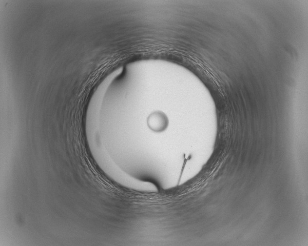 X0000115341153200911301542