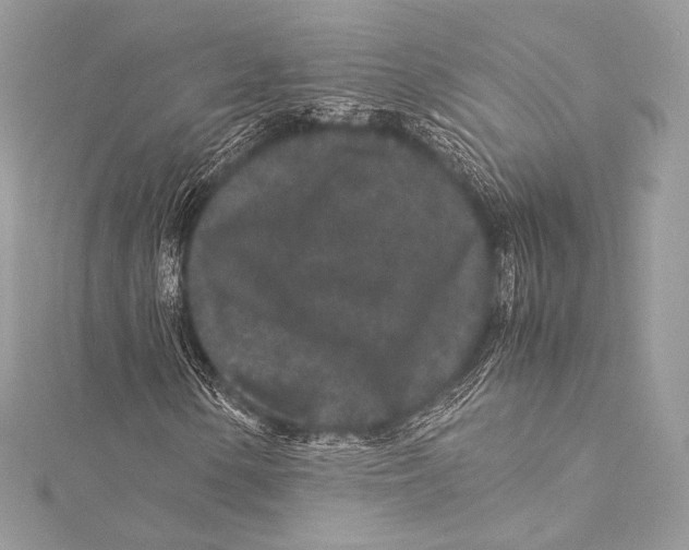 X0000115341154200911301542