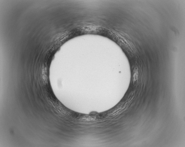 X0000115341156200911301542