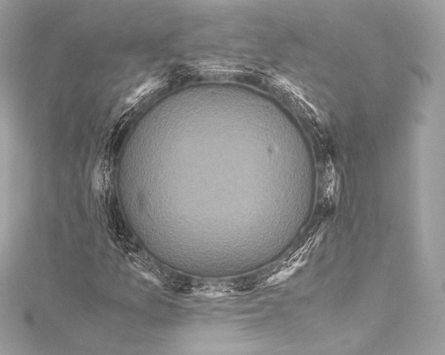 X0000115341157200911301542