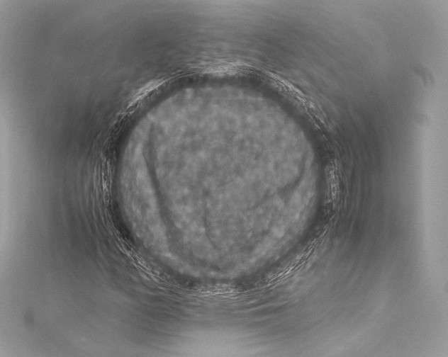 X0000115341158200911301542