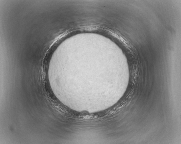 X0000115341160200911301542