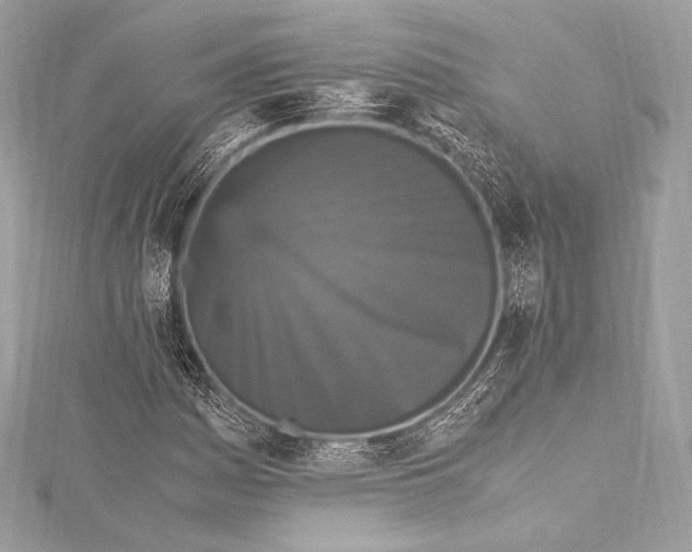 X0000115341161200911301542