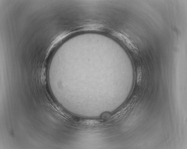 X0000115341164200911301542