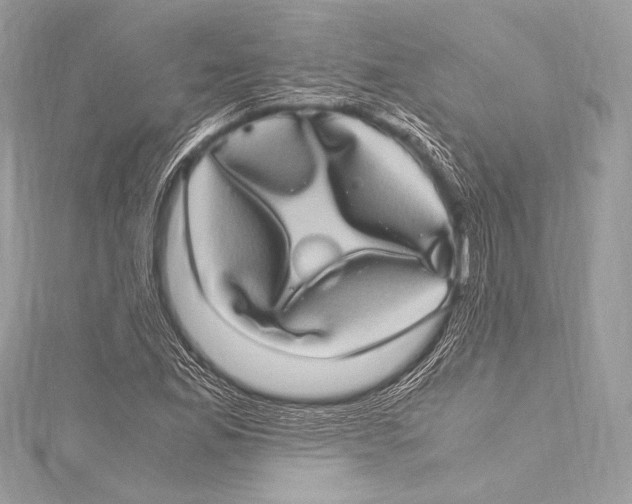 X0000115341165200911301542