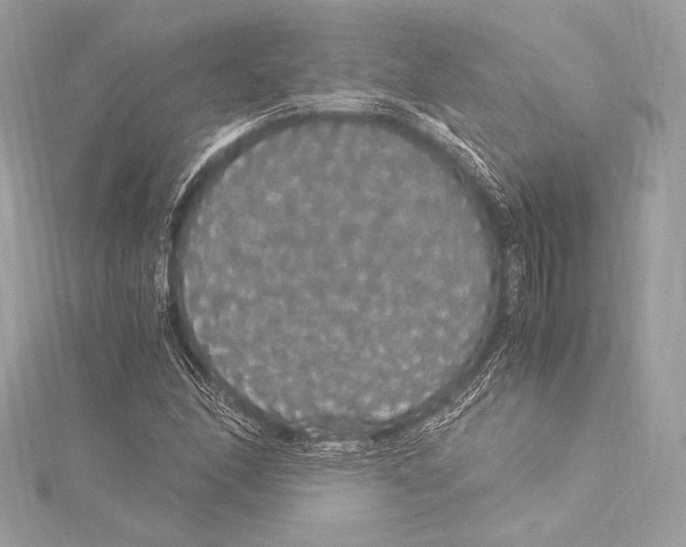 X0000115341166200911301542