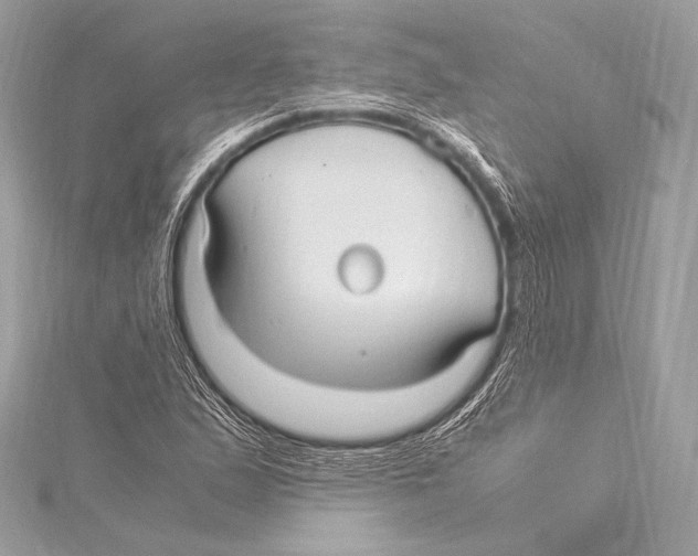 X0000115341167200911301542