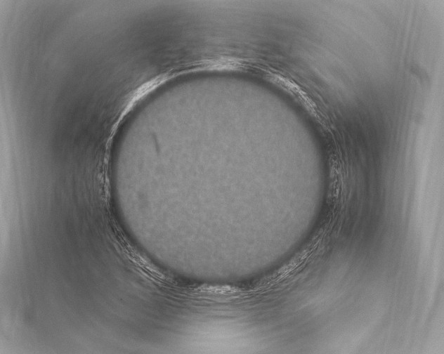 X0000115341168200911301542