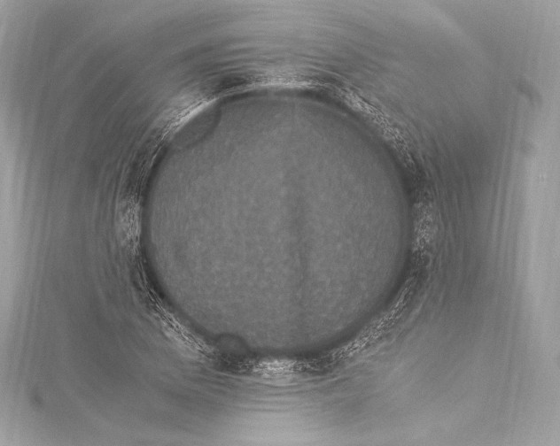 X0000115341169200911301542