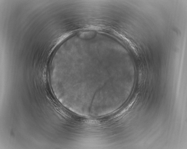 X0000115341170200911301542