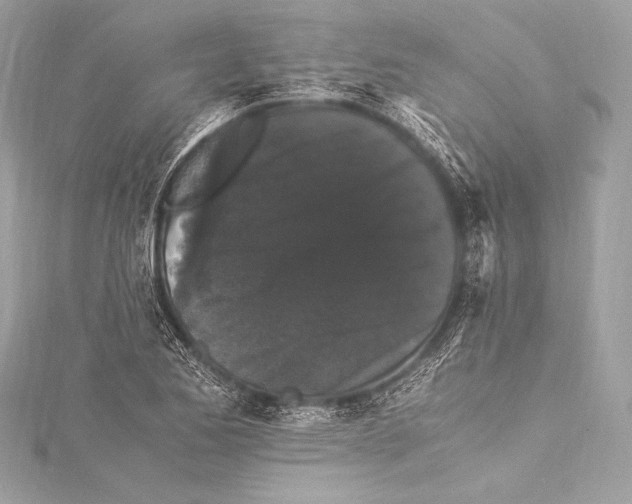 X0000115341173200911301542