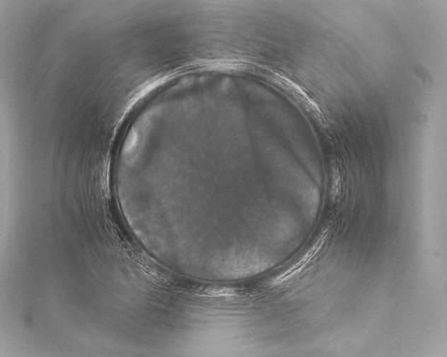 X0000115341174200911301542