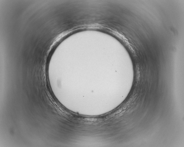 X0000115341176200911301542