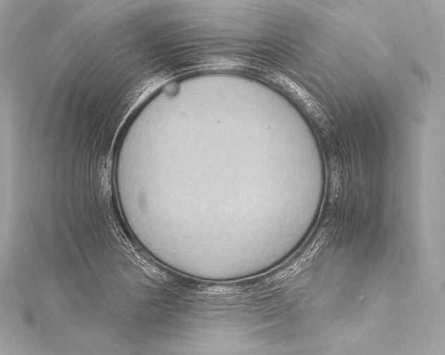 X0000115341178200911301542