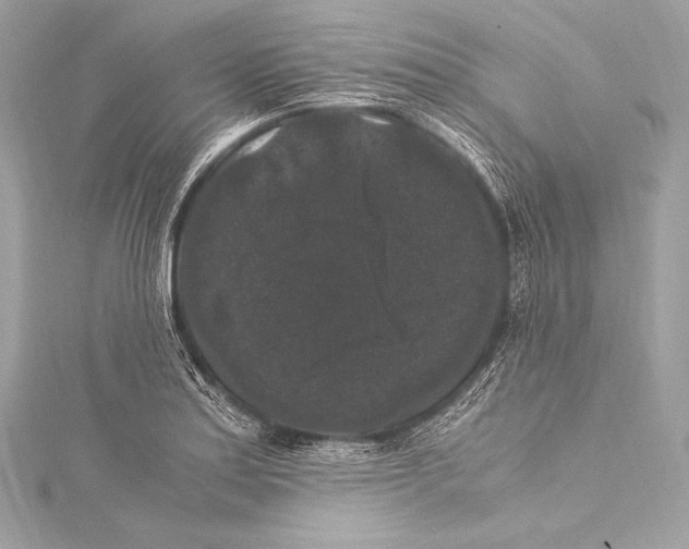 X0000115341179200911301542