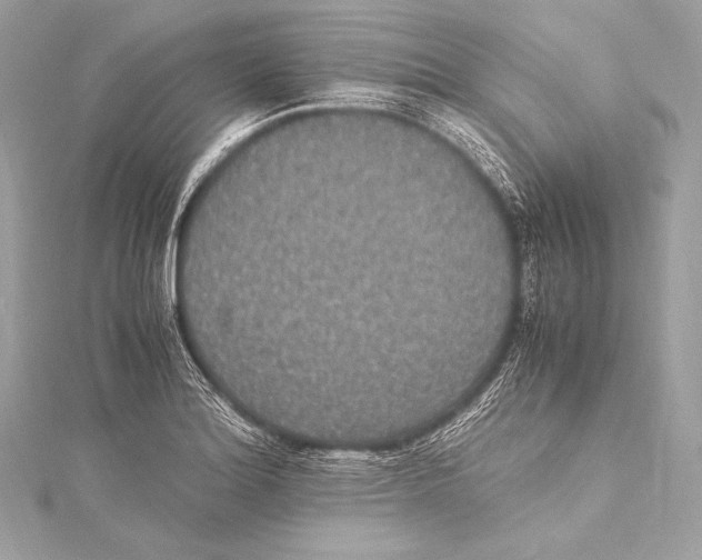 X0000115341180200911301542