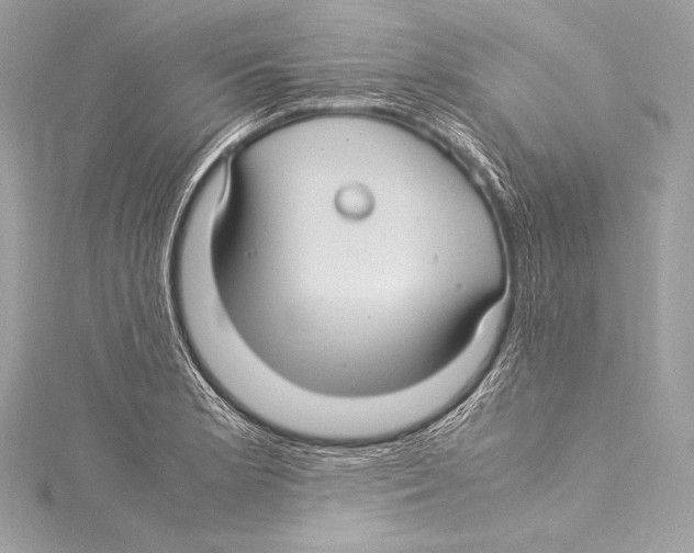 X0000115341181200911301542