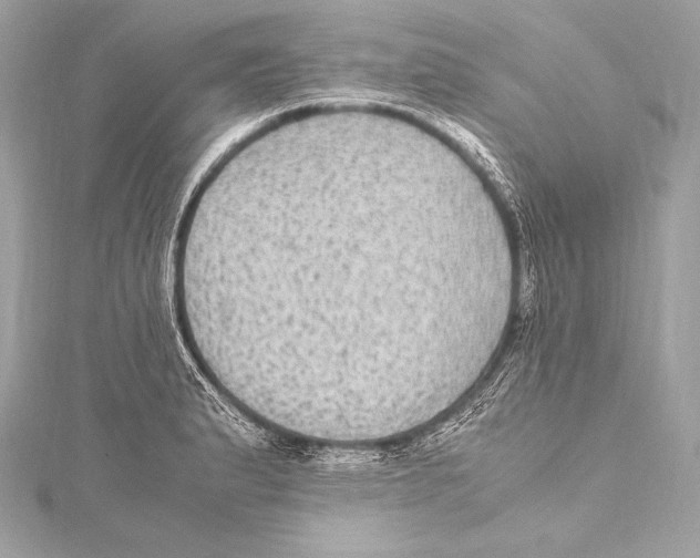 X0000115341183200911301542