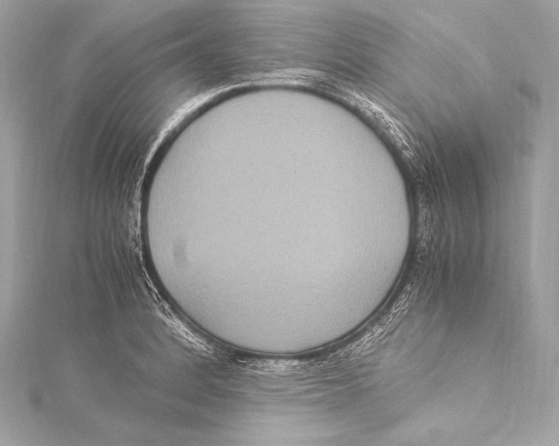 X0000115341184200911301542