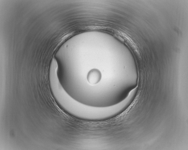 X0000115341185200911301542