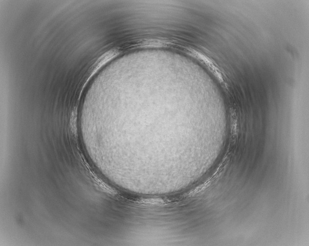 X0000115341186200911301542