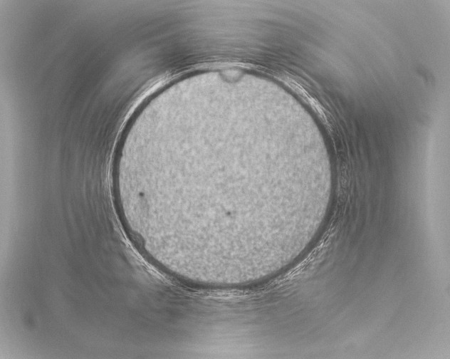 X0000115341189200911301542